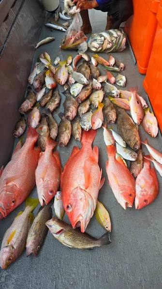 Langkawi Adventure Image 1